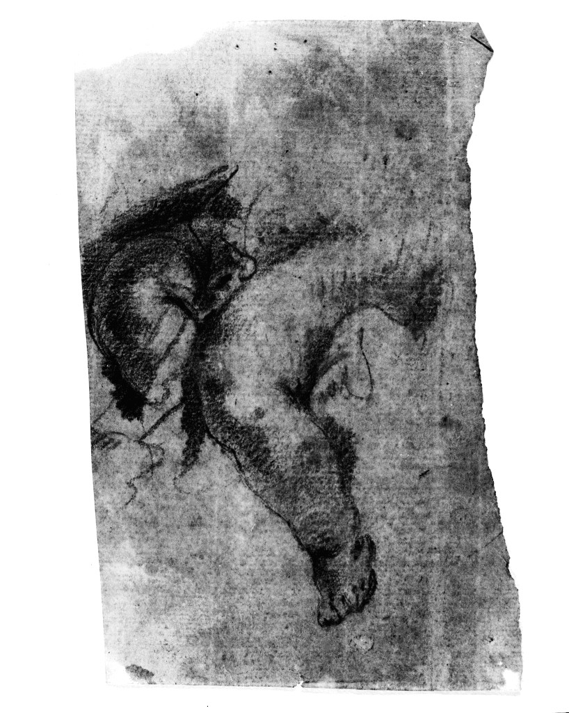studio di parti anatomiche (disegno, opera isolata) di Pittoni Giovanni Battista (attribuito) (sec. XVIII)