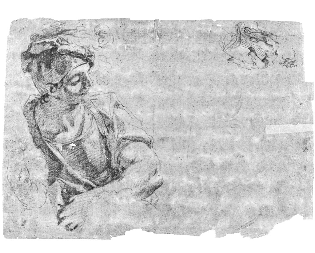 cavallo (disegno, opera isolata) di Pittoni Giovanni Battista (scuola) (sec. XVIII)