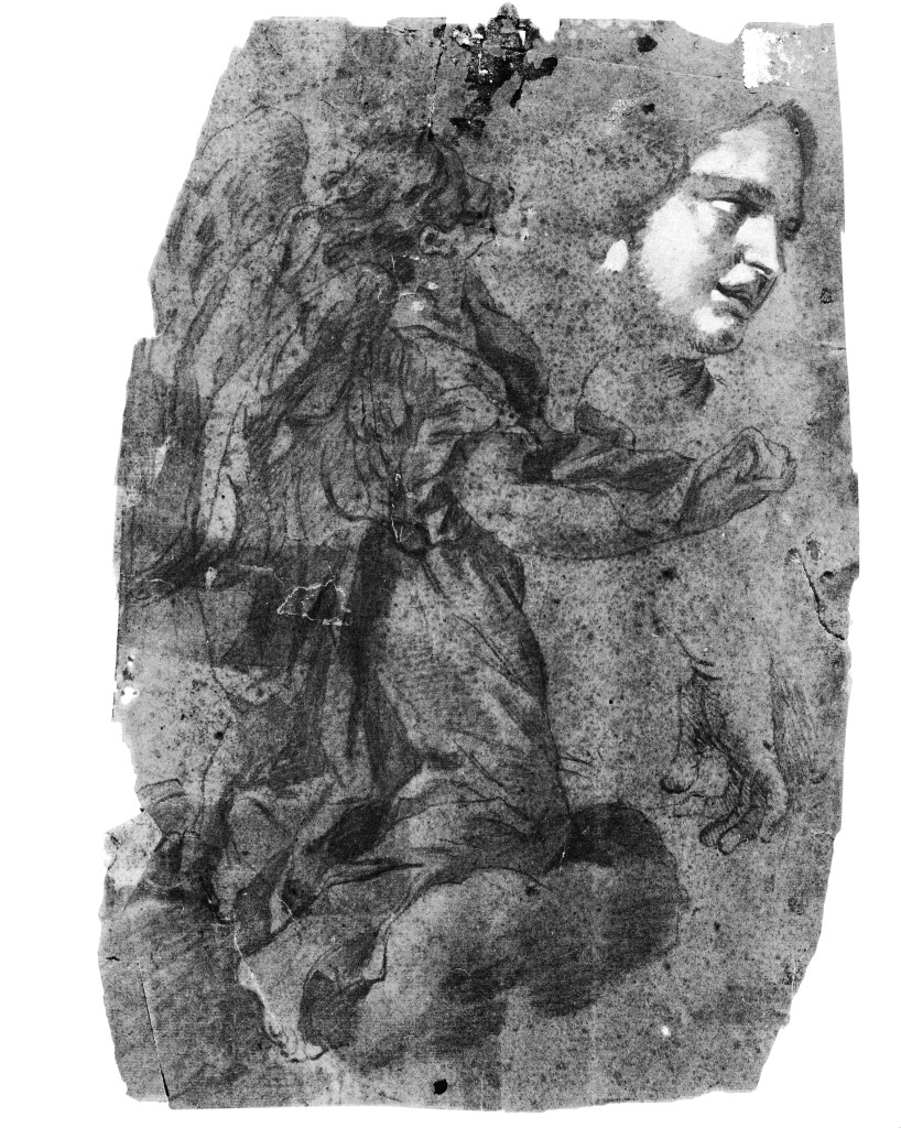 studio di parti anatomiche (disegno, opera isolata) di Pittoni Giovanni Battista (scuola) (sec. XVIII)