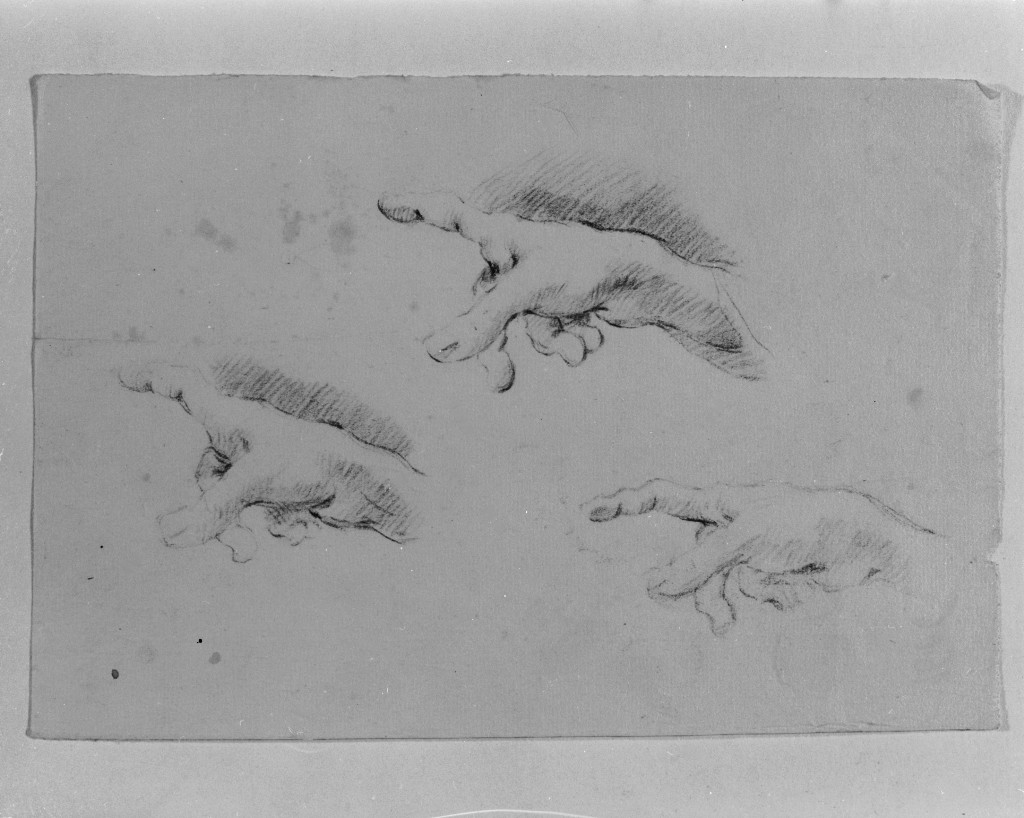 studio di parti anatomiche (disegno, opera isolata) di Pittoni Giovanni Battista (scuola) (sec. XVIII)