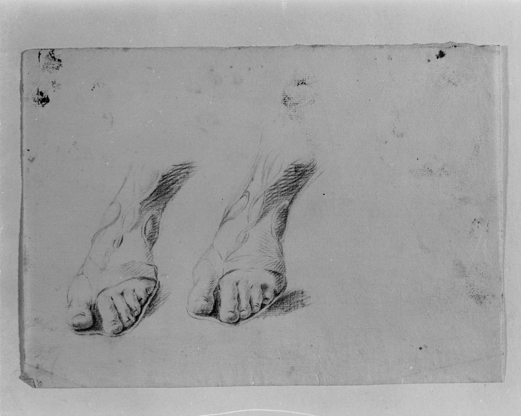 studio di parti anatomiche (disegno, opera isolata) di Pittoni Giovanni Battista (scuola) (sec. XVIII)