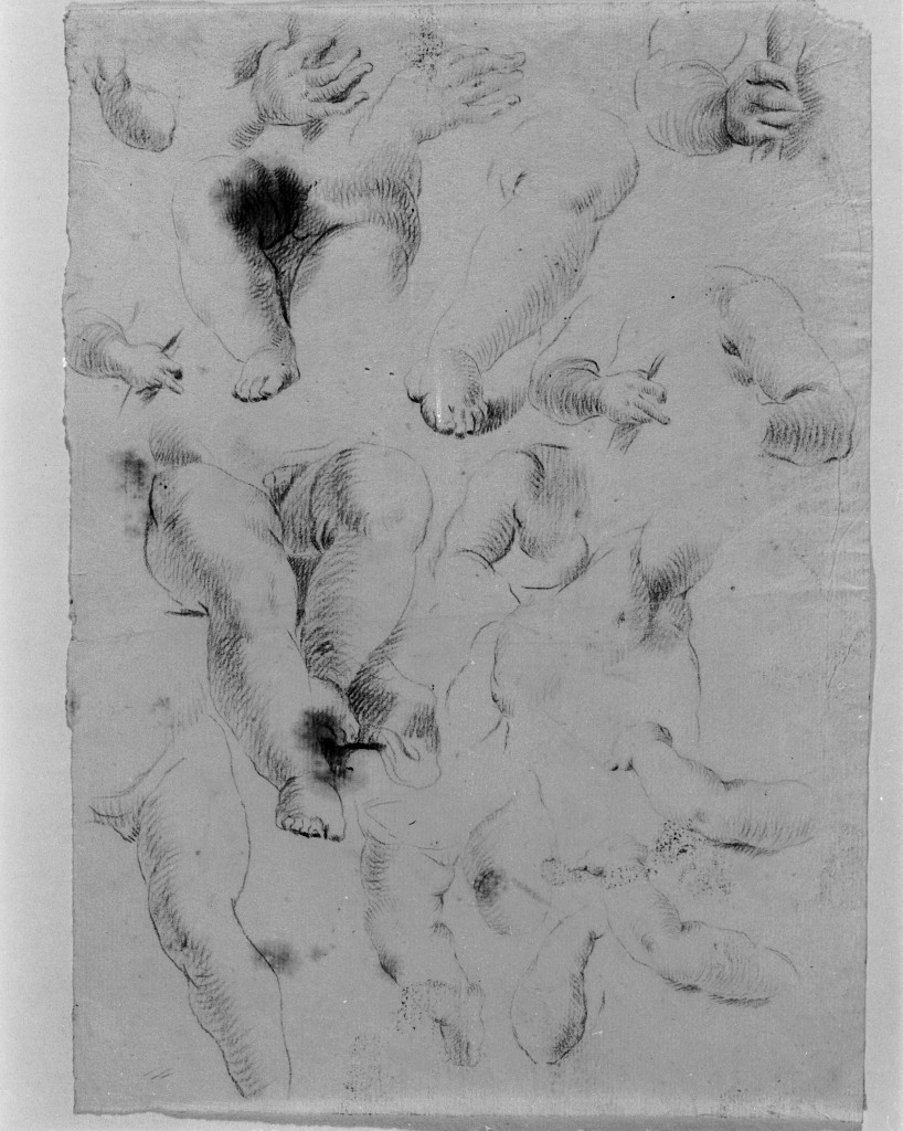 studio di parti anatomiche (disegno, elemento d'insieme) di Pittoni Giovanni Battista (scuola) (sec. XVIII)