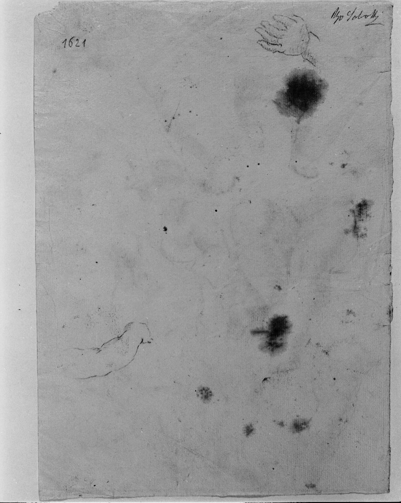 studio di parti anatomiche (disegno, elemento d'insieme) di Pittoni Giovanni Battista (scuola) (sec. XVIII)