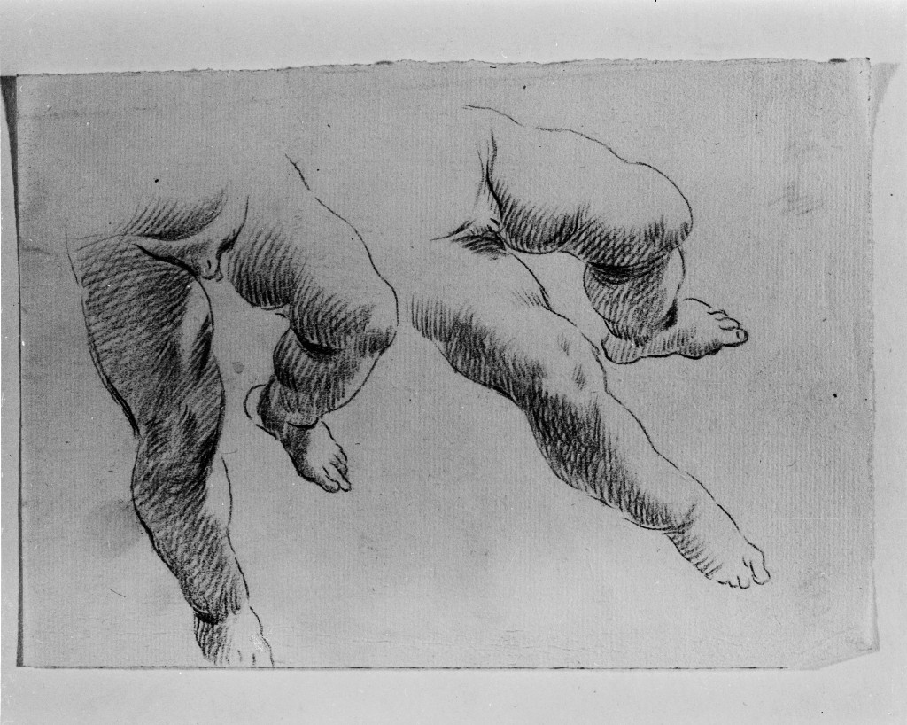 studio di parti anatomiche (disegno, opera isolata) di Pittoni Giovanni Battista (scuola) (sec. XVIII)