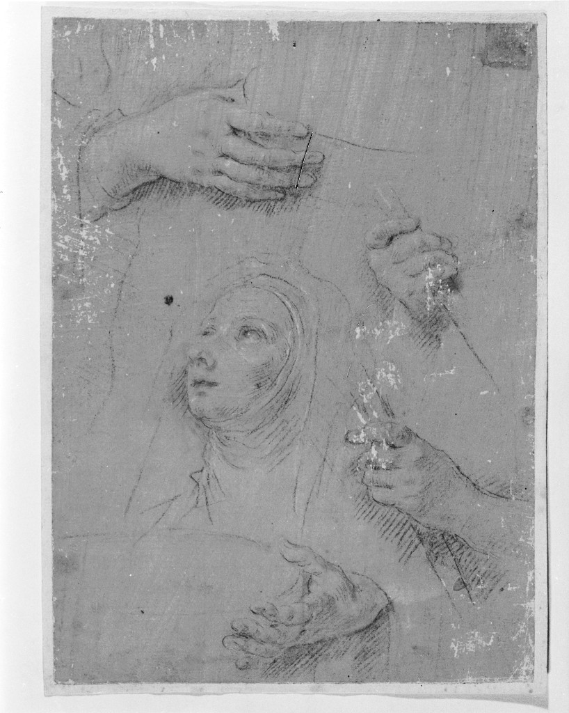 studio di parti anatomiche (disegno, opera isolata) di Pittoni Giovanni Battista (maniera) (sec. XVIII)