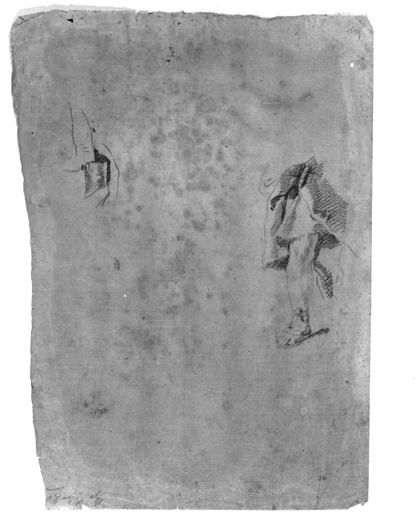 studio di parti anatomiche (disegno, elemento d'insieme) di Kern Anton (attribuito) (sec. XVIII)