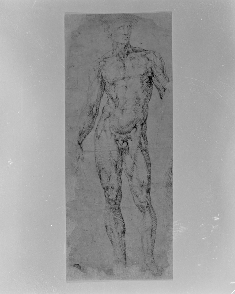 nudo virile (disegno, opera isolata) - ambito romano (sec. XVI)
