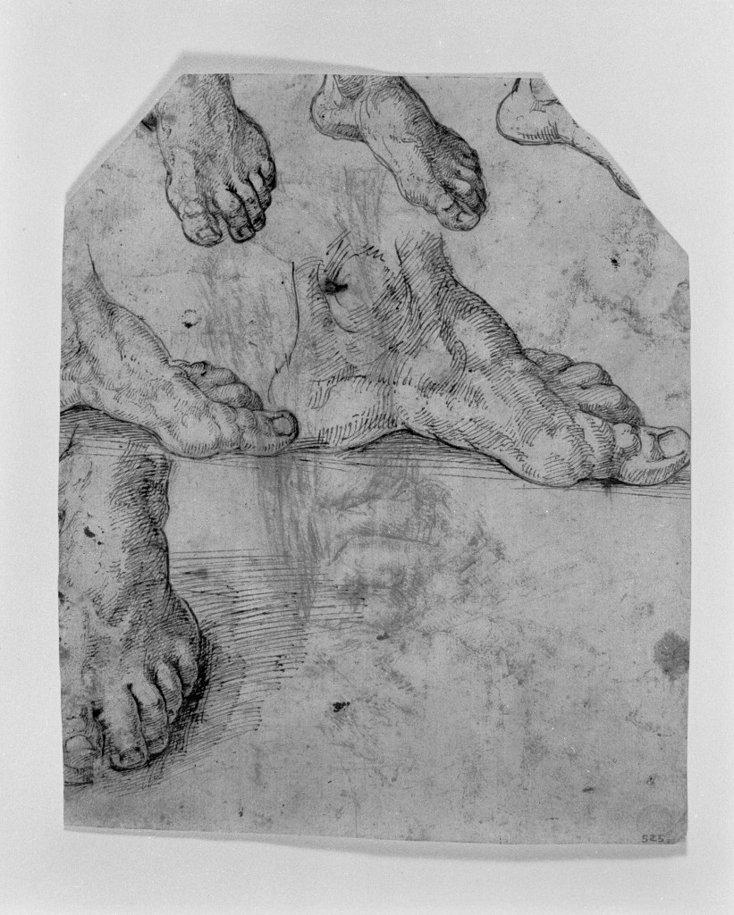 studio di parti anatomiche (disegno, insieme) - ambito romano (fine sec. XVI)
