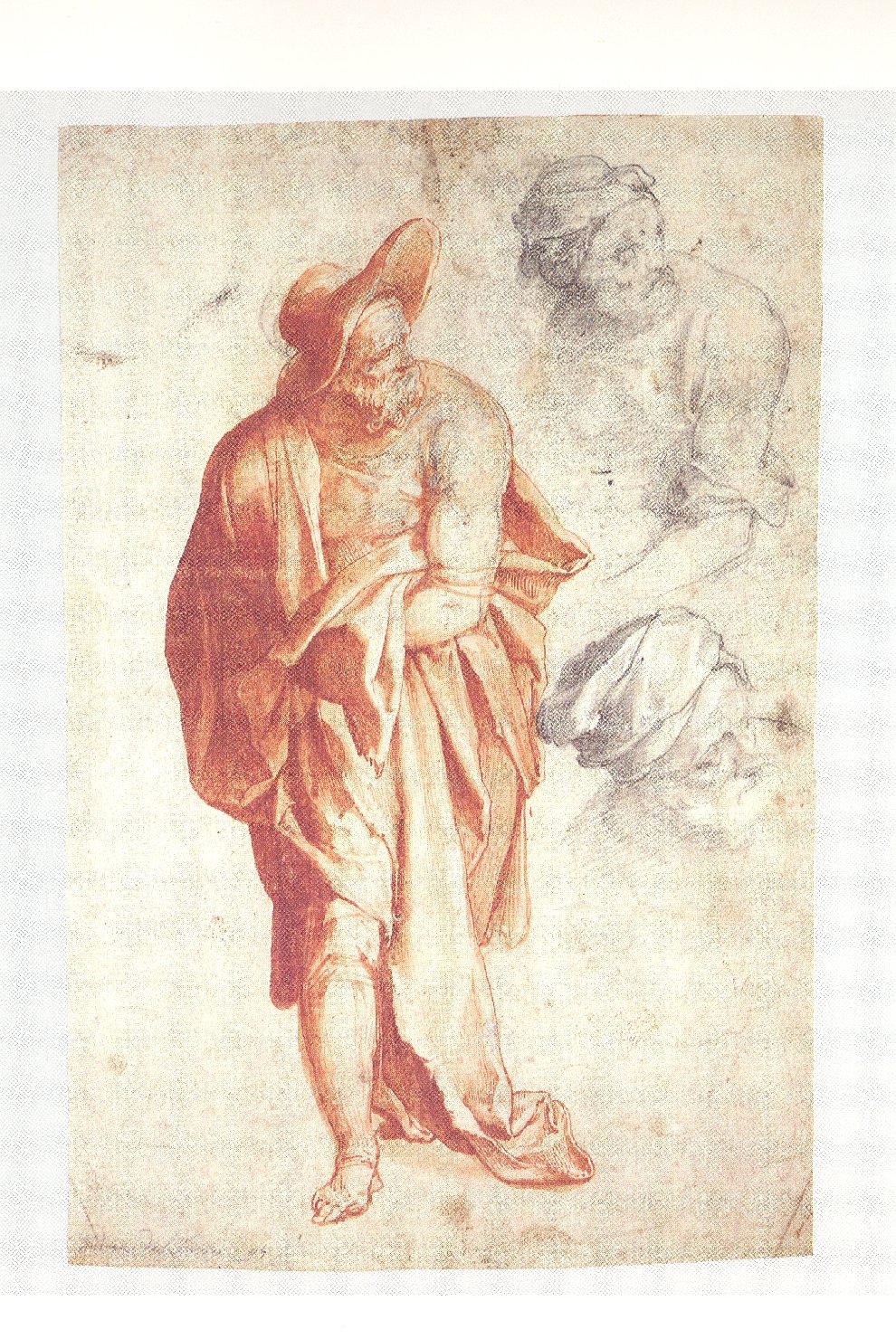 figura maschile di anziano (disegno) di Zuccari Taddeo (attribuito) (sec. XVI)