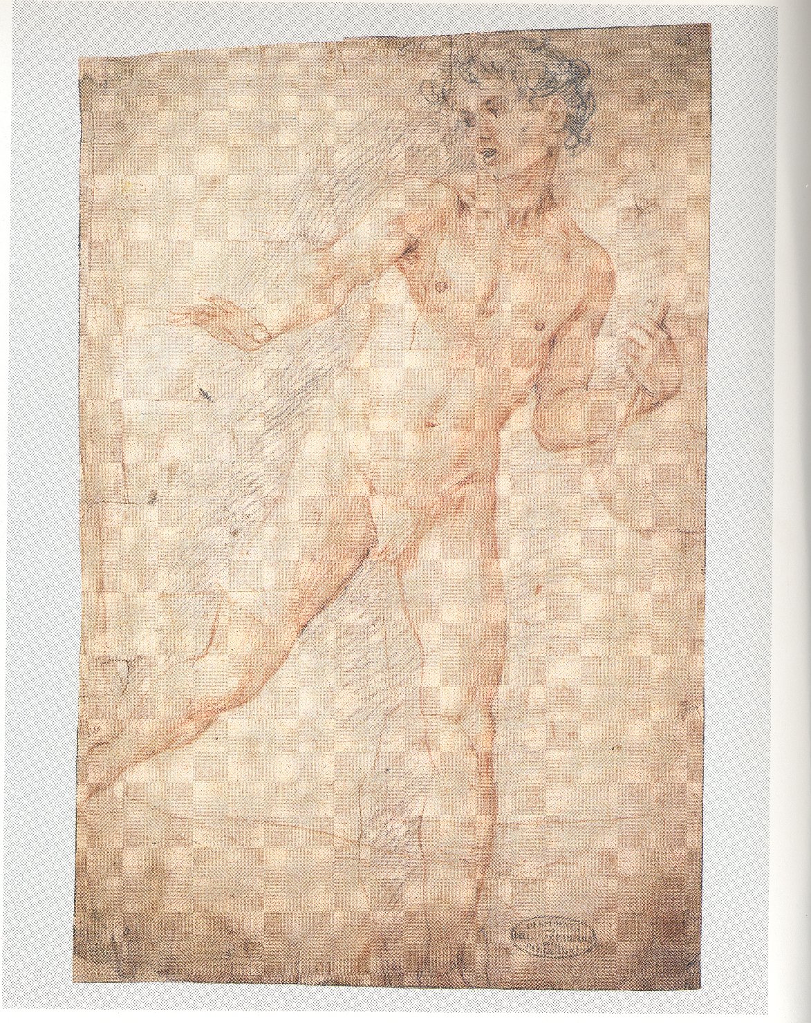giovane nudo (disegno, opera isolata) di Cesari Giuseppe detto Cavalier d'Arpino (attribuito) (sec. XVI)