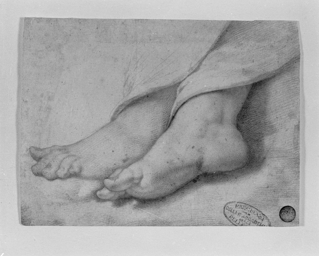studio di parti anatomiche (disegno, opera isolata) di Bonatti Giovanni (attribuito) (sec. XVII)