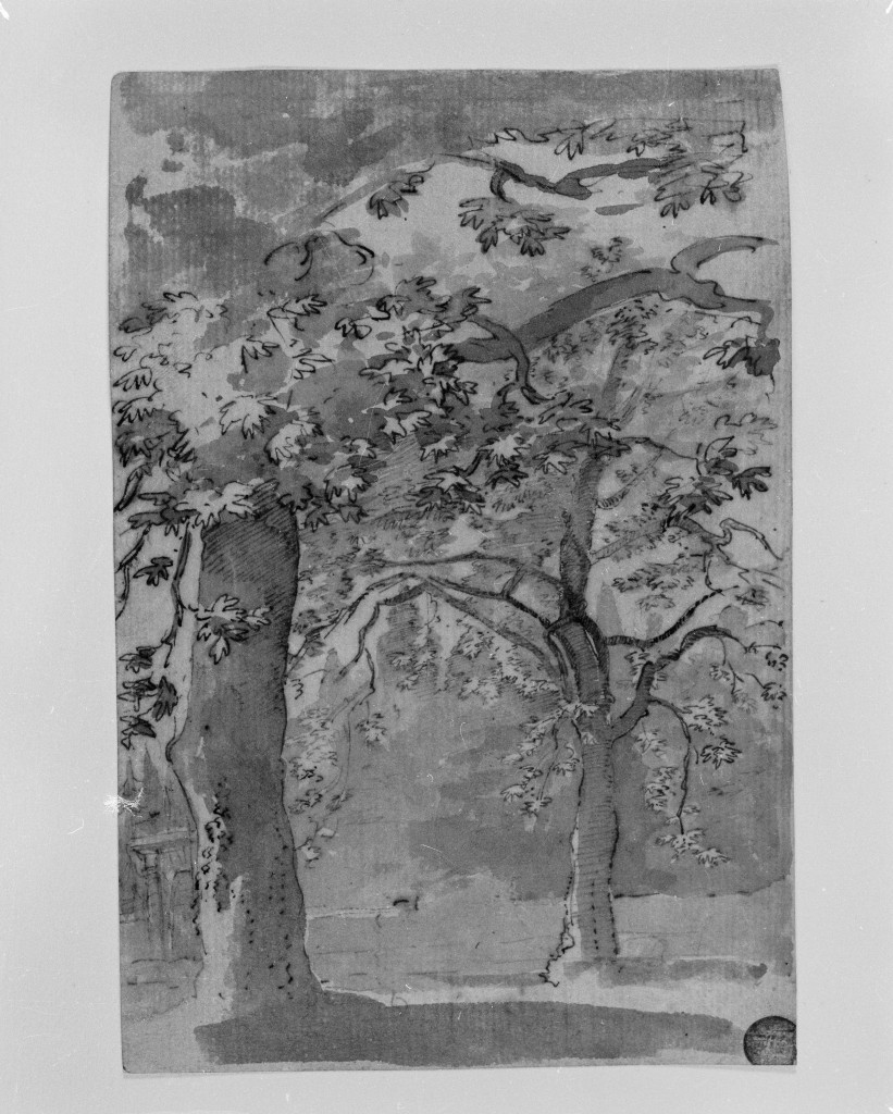 paesaggio con alberi (disegno, opera isolata) di Pannini Giovanni Paolo (attribuito) (fine/inizio secc. XVII/ XVIII)