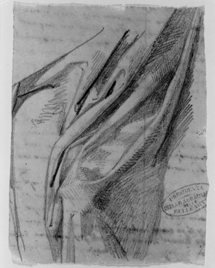 studio di panneggio (disegno, opera isolata) di De Superville Pierre Davide Humbert (sec. XVIII)