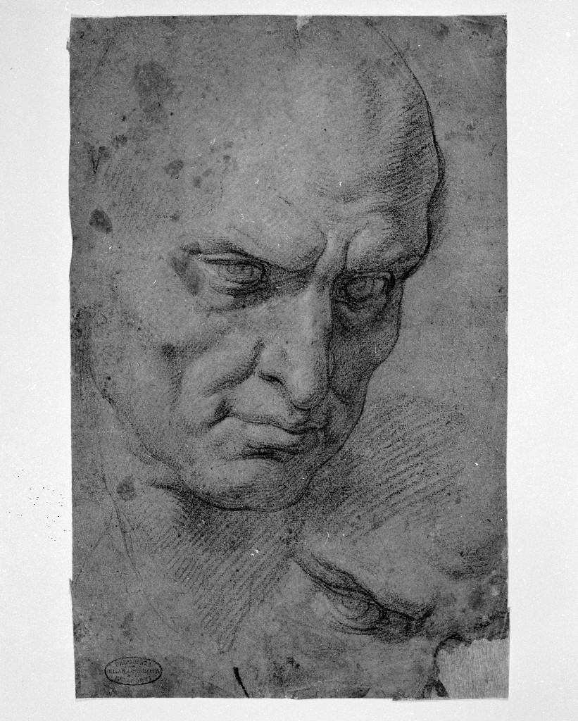 ritratto d'uomo (disegno, opera isolata) di Figino Giovanni Ambrogio (attribuito) (seconda metà sec. XVI)
