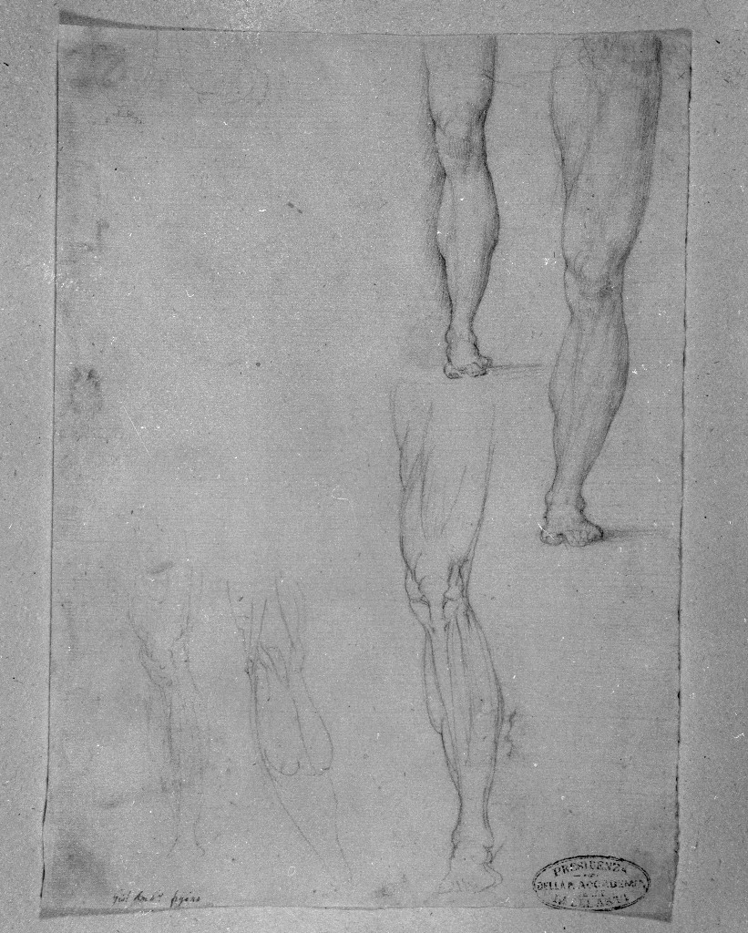 studio di parti anatomiche (disegno, opera isolata) di Figino Giovanni Ambrogio (attribuito) (seconda metà sec. XVI)