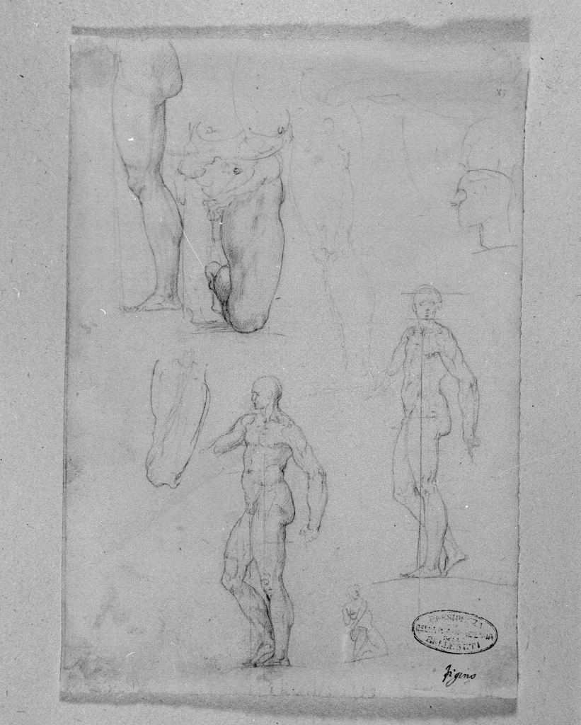 studio di parti anatomiche (disegno, opera isolata) di Figino Giovanni Ambrogio (attribuito) (seconda metà sec. XVI)