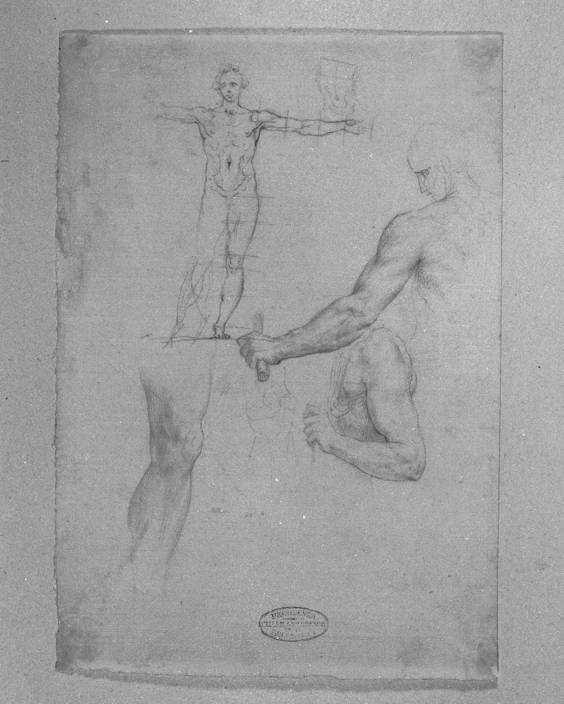 studio di parti anatomiche (disegno, opera isolata) di Figino Giovanni Ambrogio (attribuito) (seconda metà sec. XVI)
