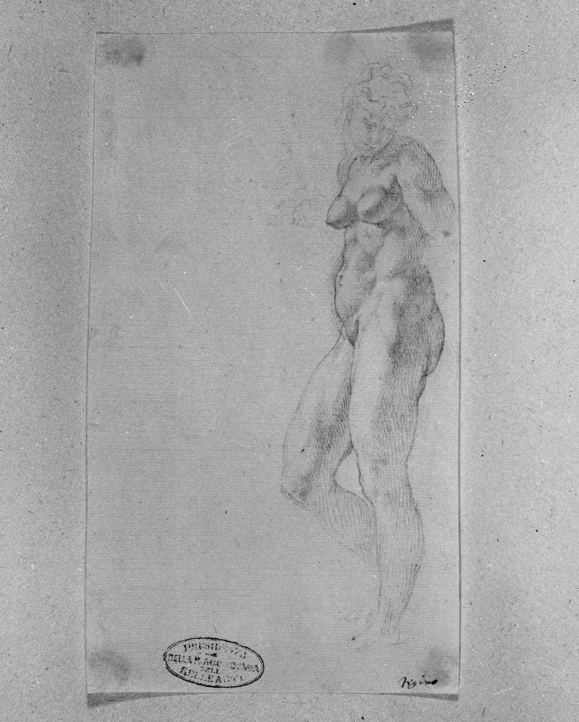 figura femminile nuda (disegno, opera isolata) di Figino Giovanni Ambrogio (attribuito) (seconda metà sec. XVI)