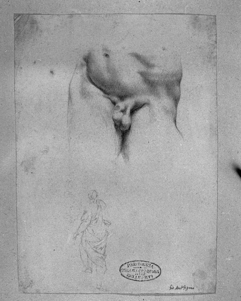 studio di parti anatomiche (disegno, opera isolata) di Figino Giovanni Ambrogio (attribuito) (seconda metà sec. XVI)