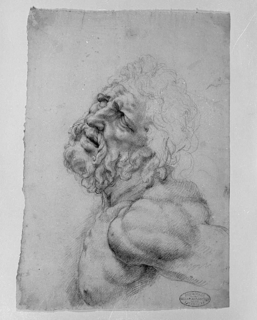 ritratto d'uomo di profilo (disegno, opera isolata) di Figino Giovanni Ambrogio (seconda metà sec. XVI)
