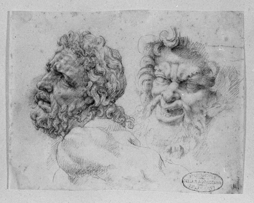 testa maschile (disegno, opera isolata) di Figino Giovanni Ambrogio (seconda metà sec. XVI)