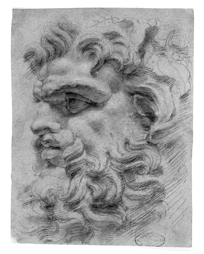 ritratto d'uomo di profilo (disegno, opera isolata) di Figino Giovanni Ambrogio (seconda metà sec. XVI)