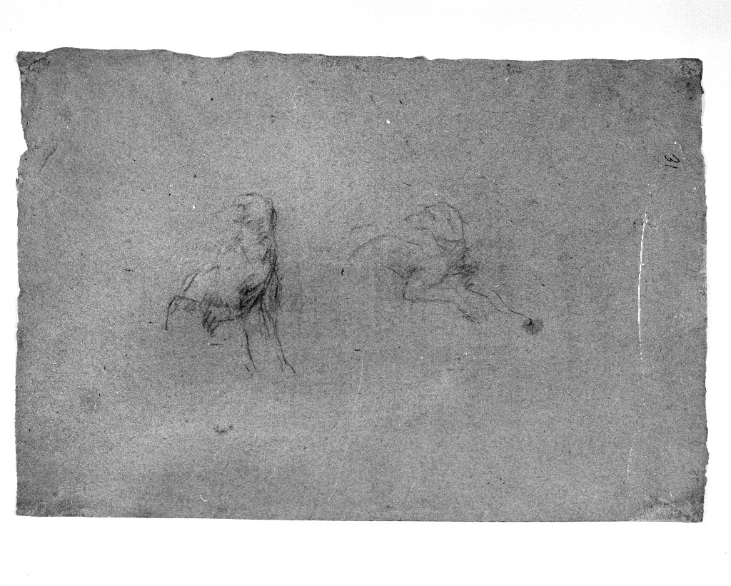 animali (disegno, elemento d'insieme) di Figino Giovanni Ambrogio (attribuito) (seconda metà sec. XVI)