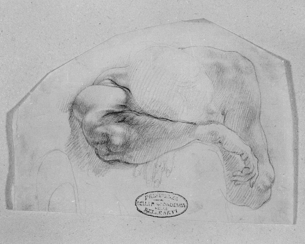 studio di parti anatomiche (disegno, paio) di Figino Giovanni Ambrogio (attribuito) (seconda metà sec. XVI)