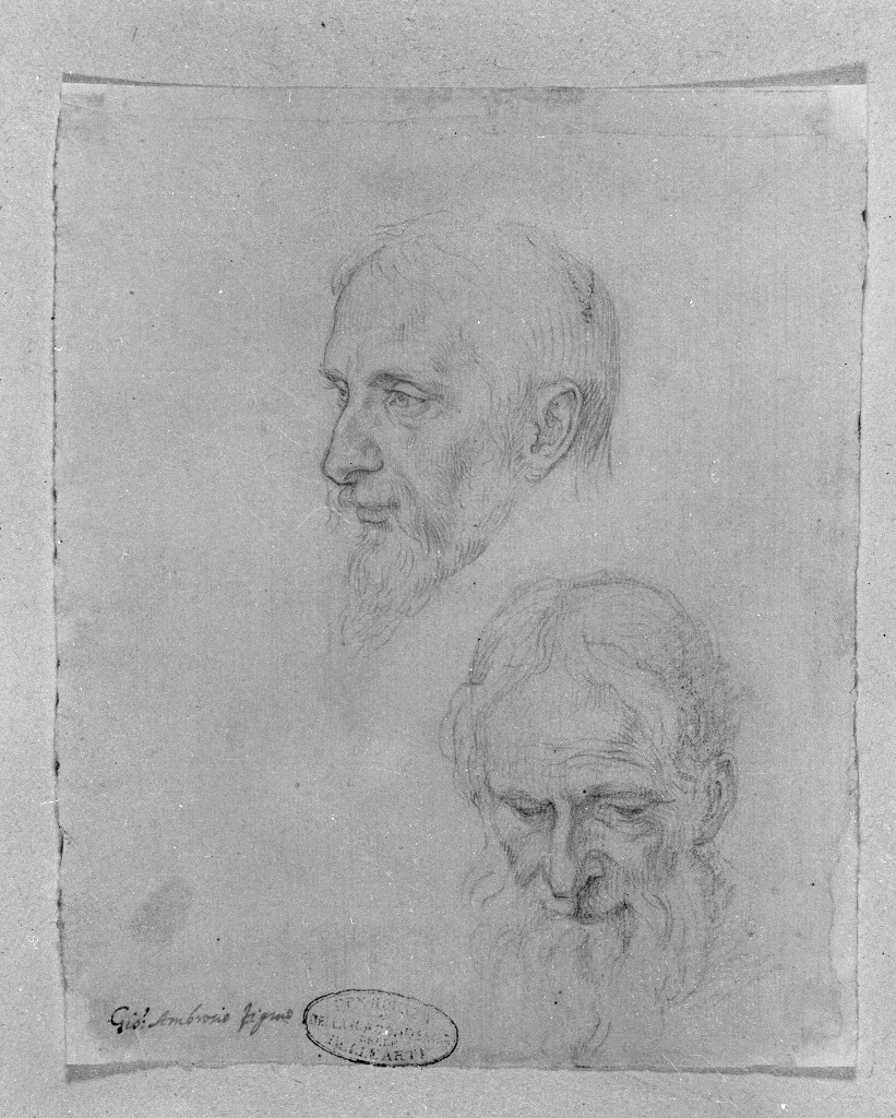 testa maschile (disegno) di Figino Giovanni Ambrogio (attribuito) (seconda metà sec. XVI)