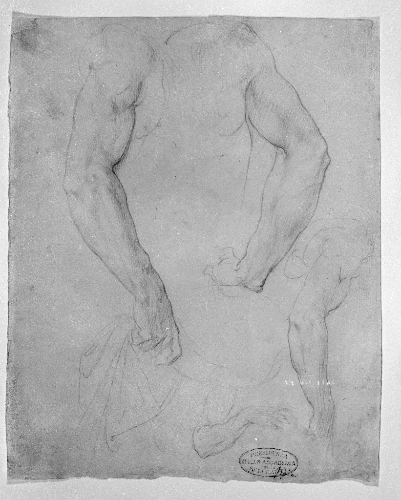 studio di parti anatomiche (disegno, opera isolata) di Figino Giovanni Ambrogio (attribuito) (seconda metà sec. XVI)