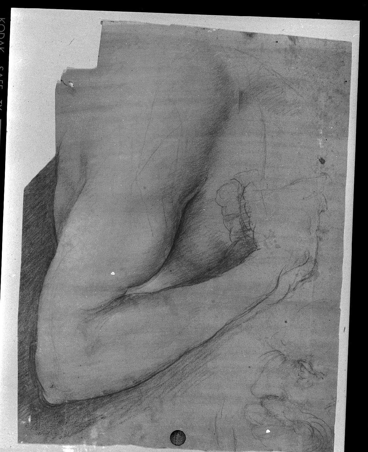 studio di parti anatomiche (disegno, opera isolata) di Cesare da Sesto (secc. XV/ XVI)