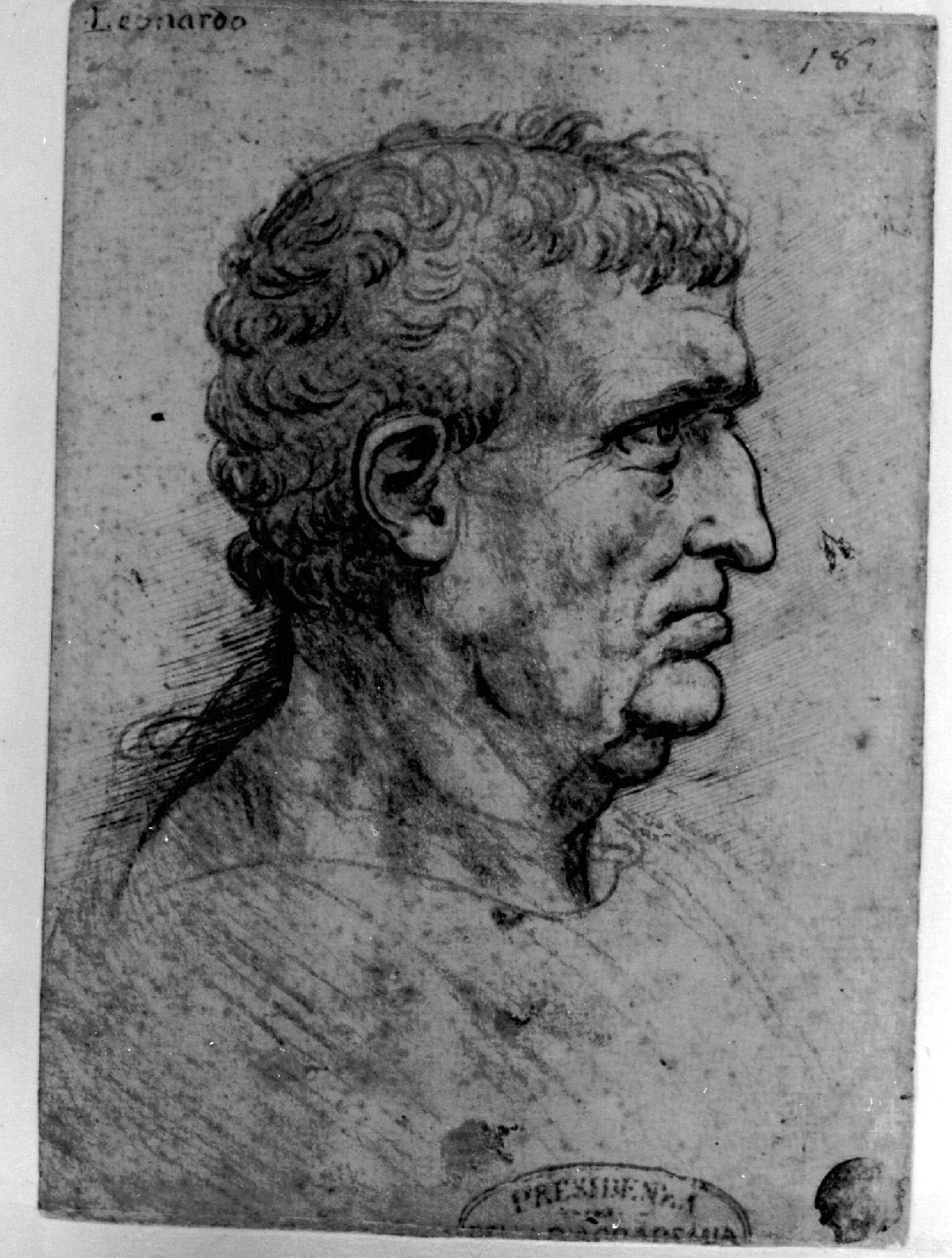 ritratto d'uomo di profilo (disegno, opera isolata) di Leonardo da Vinci (secc. XV/ XVI)