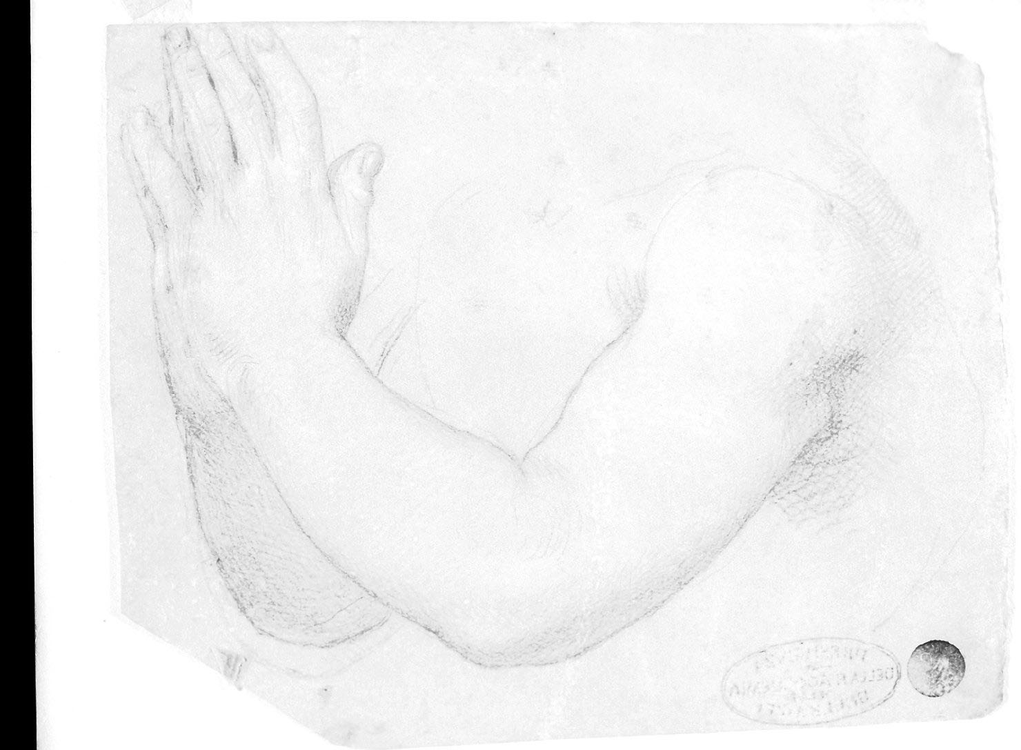figura femminile (disegno, opera isolata) di Pedrini Giovanni detto Giampietrino (sec. XVI)