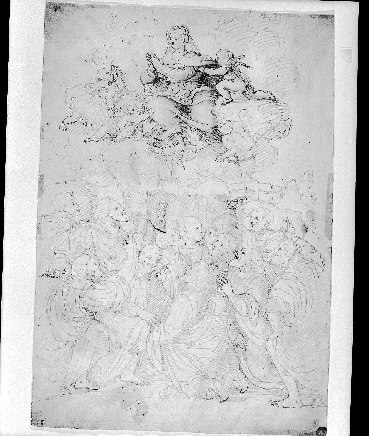 assunzione della Madonna (disegno, opera isolata) di Marco d'Oggiono (metà sec. XVI)