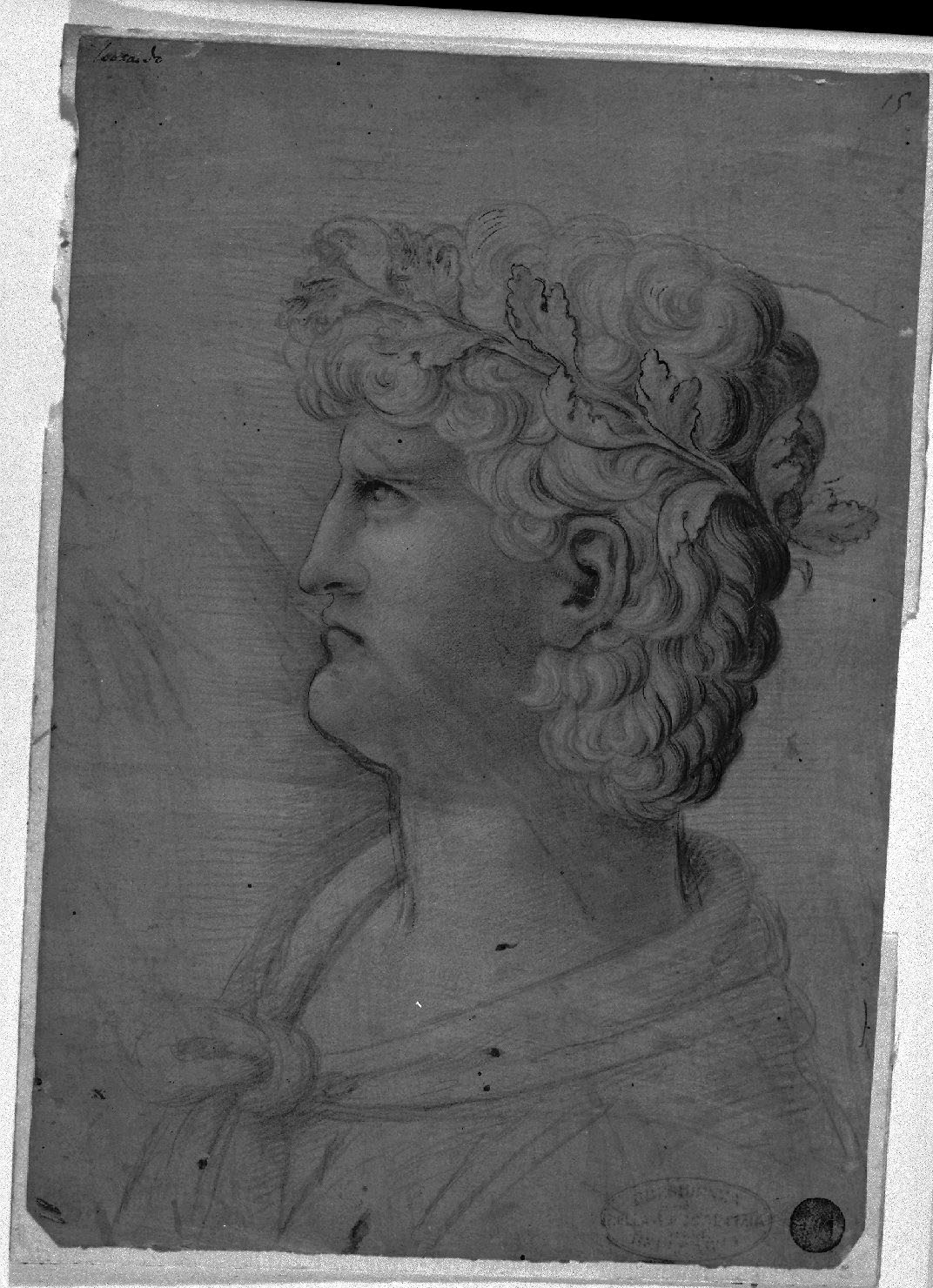 ritratto d'uomo di profilo (disegno, opera isolata) di Galli Francesco (sec. XV)
