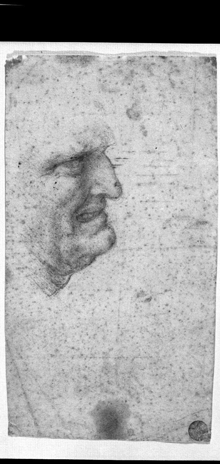 ritratto d'uomo di profilo (disegno, elemento d'insieme) di Leonardo da Vinci (attribuito) (sec. XV)