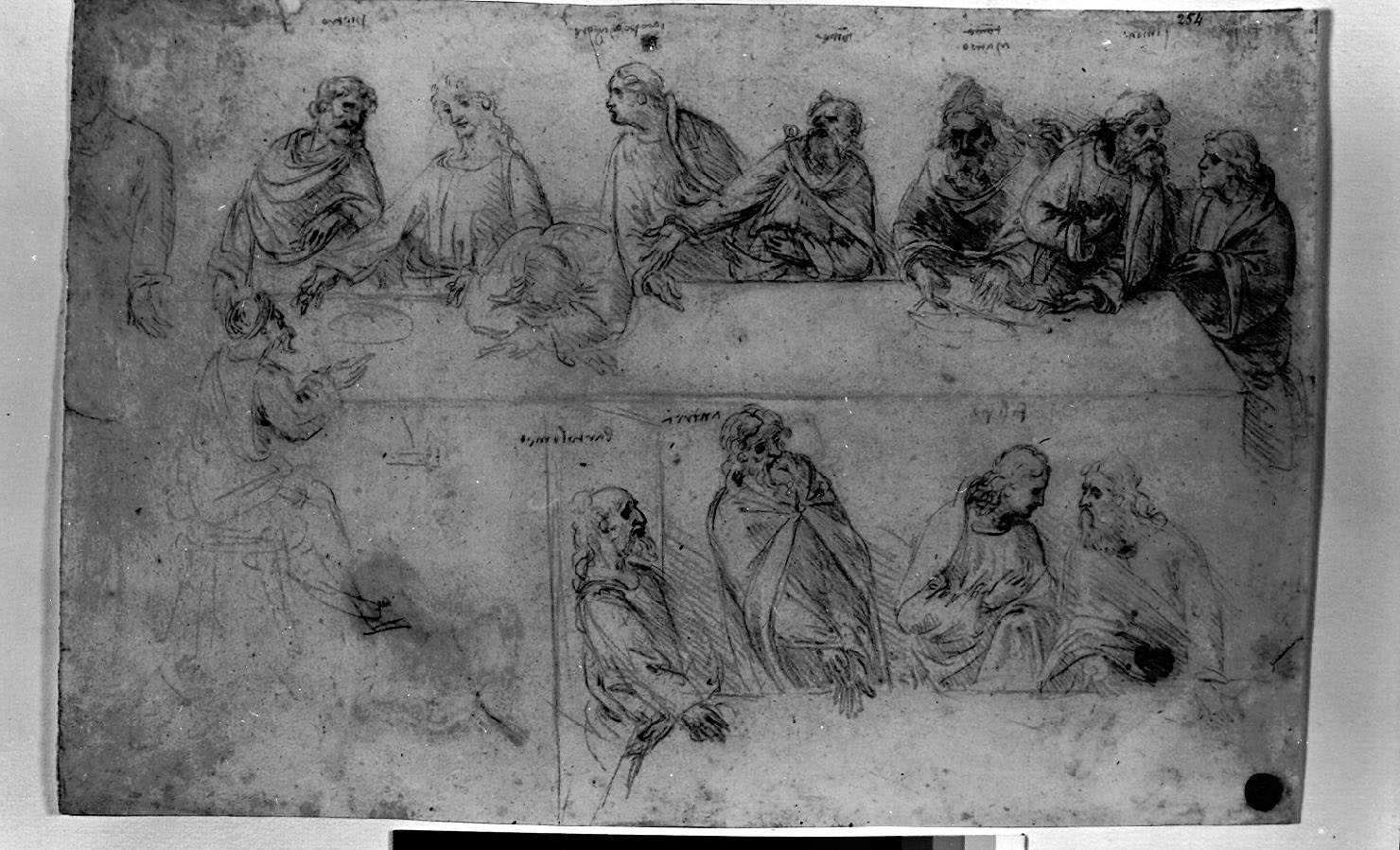 ultima cena (disegno, opera isolata) di Leonardo da Vinci (attribuito) (sec. XV)