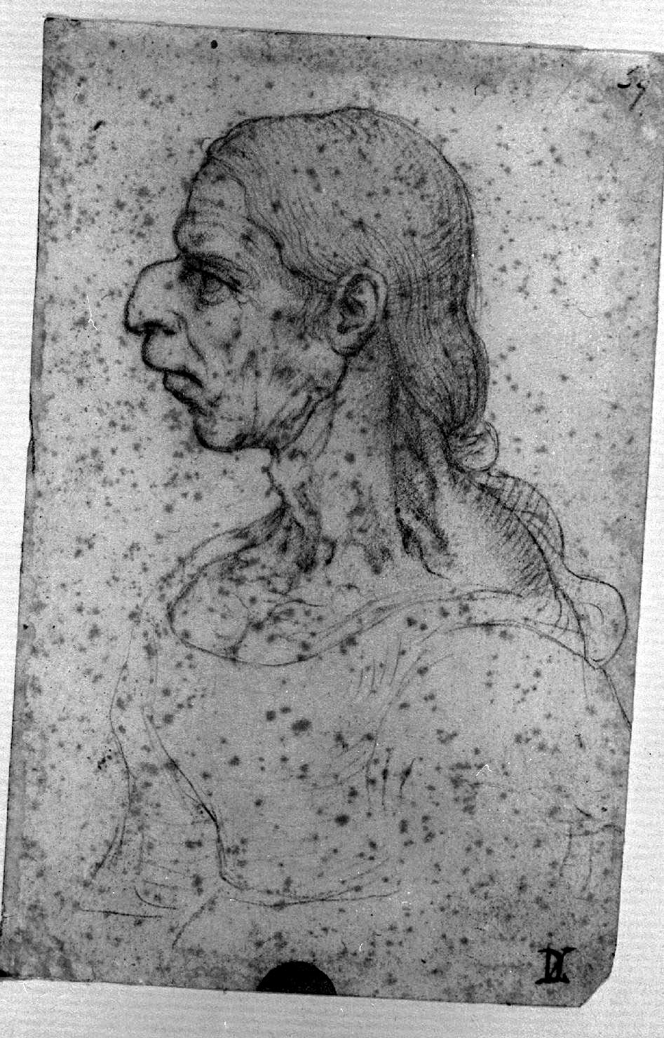 ritratto di donna (disegno, opera isolata) di Melzi Francesco (attribuito) (sec. XVI)