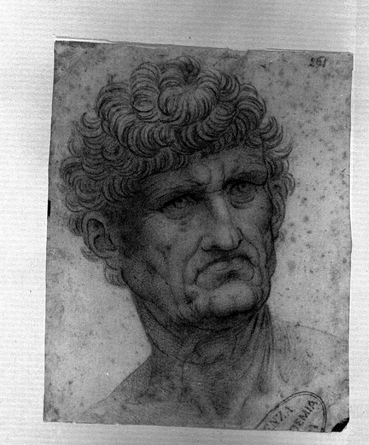 ritratto d'uomo (disegno, opera isolata) di Melzi Francesco (attribuito) (sec. XVI)