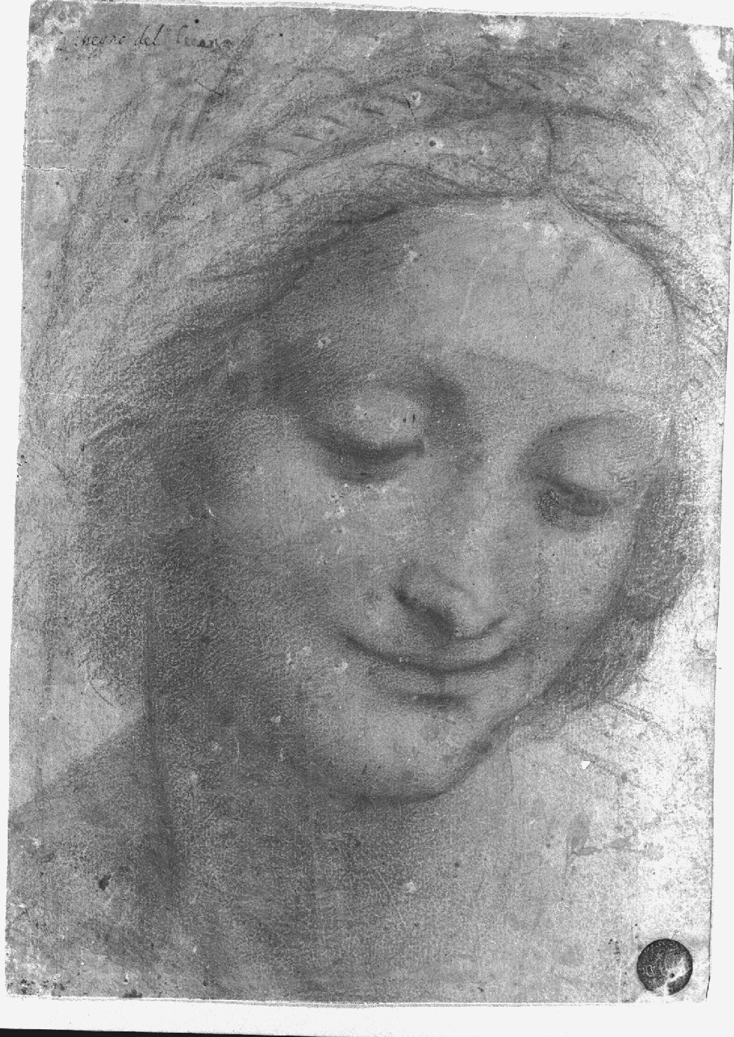 ritratto di donna (disegno, opera isolata) di Leonardo da Vinci (cerchia) (prima metà sec. XVI)