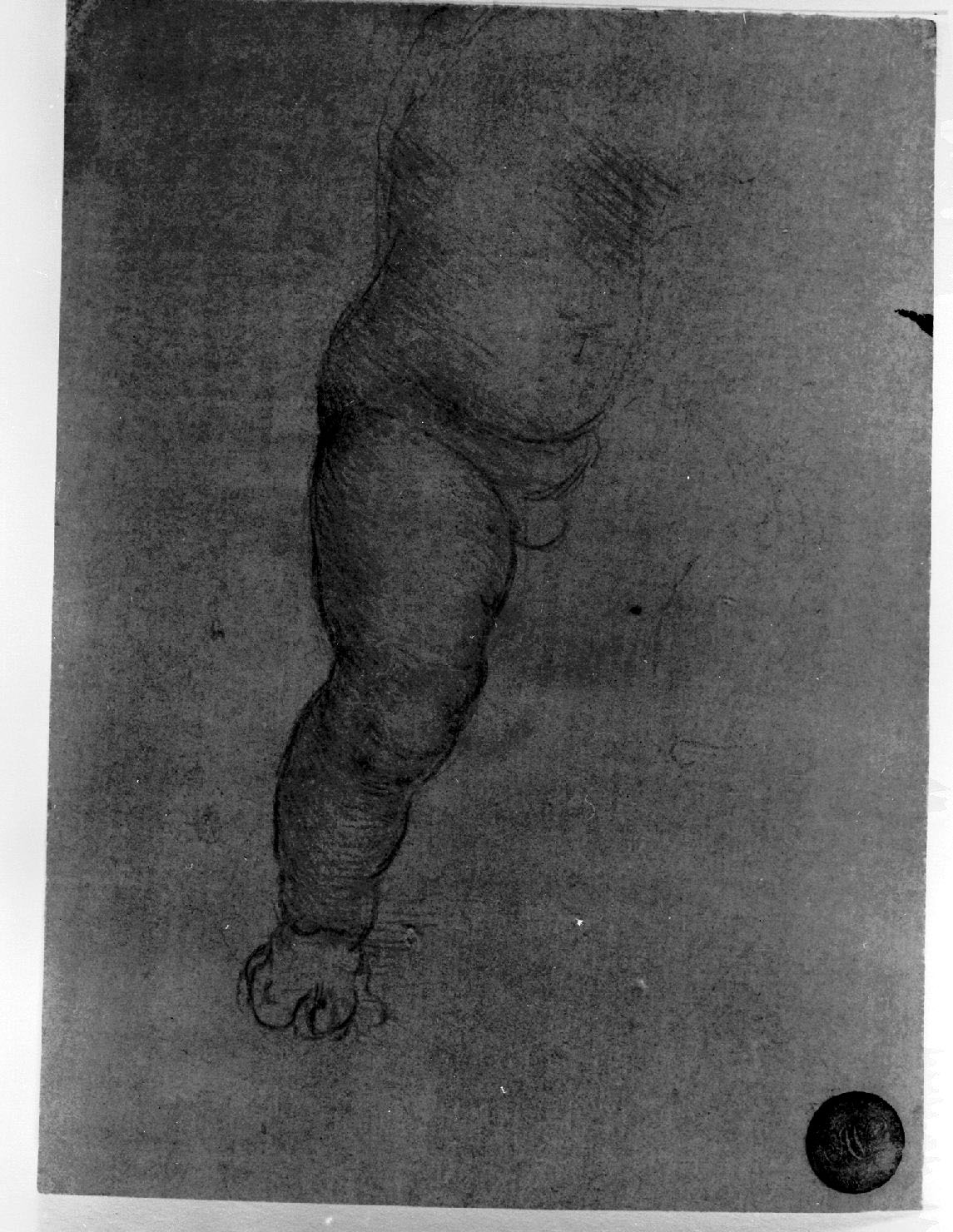 figura maschile (disegno, opera isolata) di Leonardo da Vinci (secc. XV/ XVI)