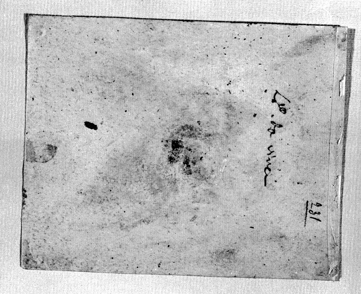 disegno, elemento d'insieme di Leonardo da Vinci (secc. XV/ XVI)