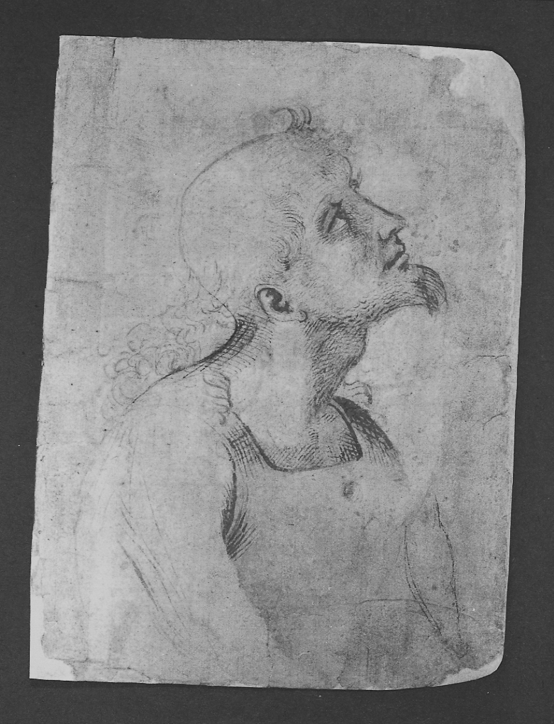 busto di uomo (disegno, elemento d'insieme) di Sanzio Raffaello detto Raffaello (cerchia) (secondo quarto sec. XVI)