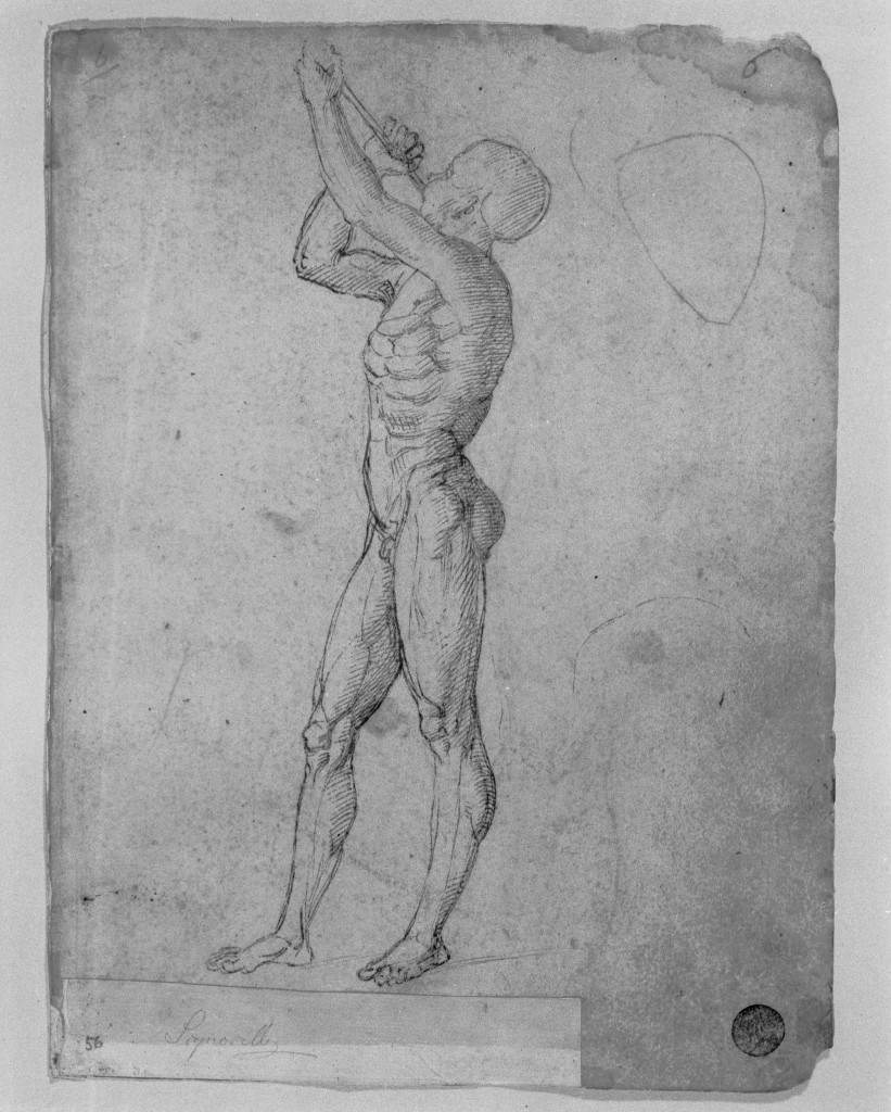 disegno, insieme - ambito fiorentino (primo quarto sec. XVI)