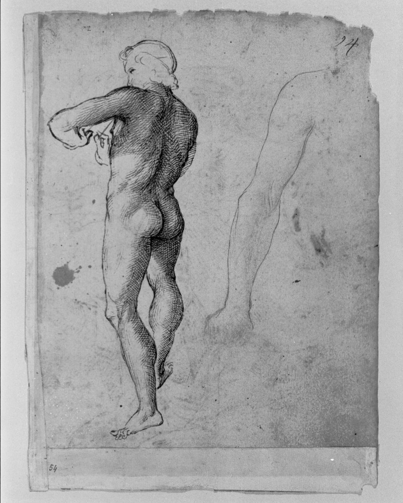 disegno, insieme - ambito fiorentino (inizio sec. XVI)