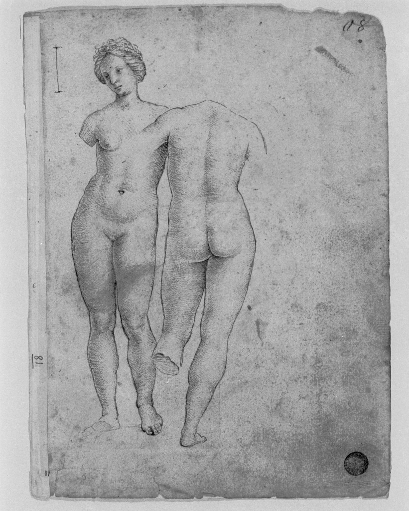 figure femminili (disegno, elemento d'insieme) di Sanzio Raffaello detto Raffaello (cerchia) (inizio sec. XVI)