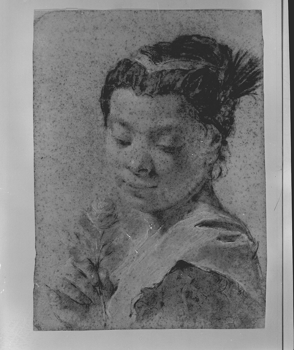 ritratto di donna (disegno, opera isolata) di Piazzetta Giovanni Battista (secc. XVII/ XVIII)