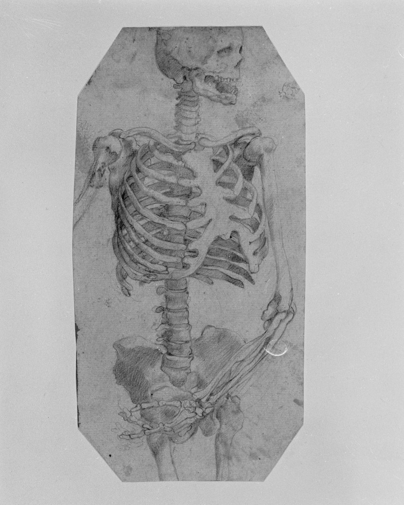 studio di parti anatomiche (disegno, opera isolata) - ambito fiorentino (inizio sec. XVII)
