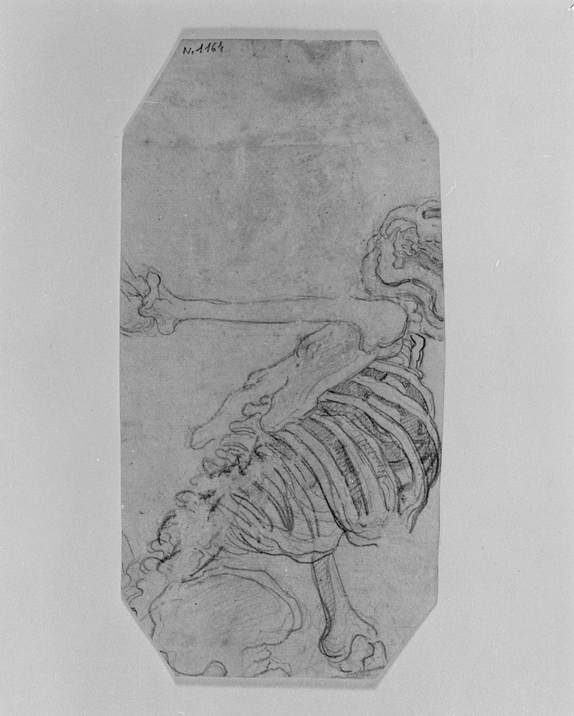 studio di parti anatomiche (disegno, opera isolata) - ambito fiorentino (inizio sec. XVII)