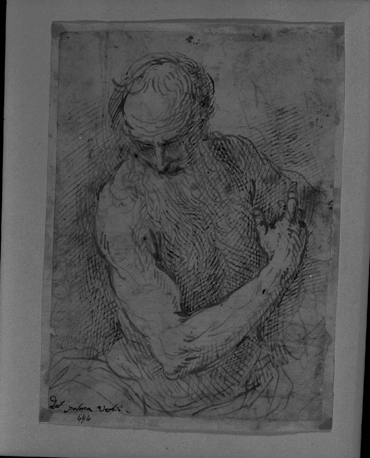 San Girolamo (disegno, opera isolata) di Negretti Jacopo detto Palma il Giovane (sec. XVI)